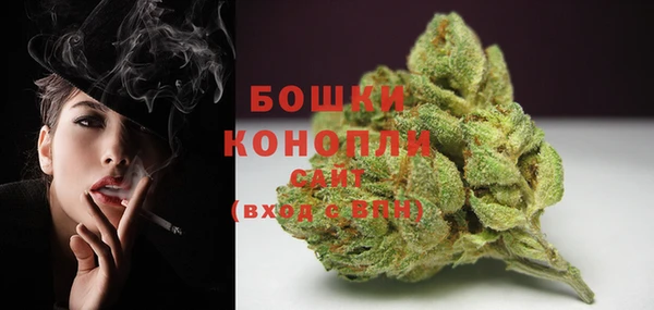 СК Бронницы