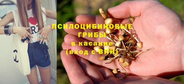 СК Бронницы