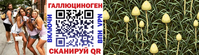 hydra как войти  Невель  Псилоцибиновые грибы мухоморы 